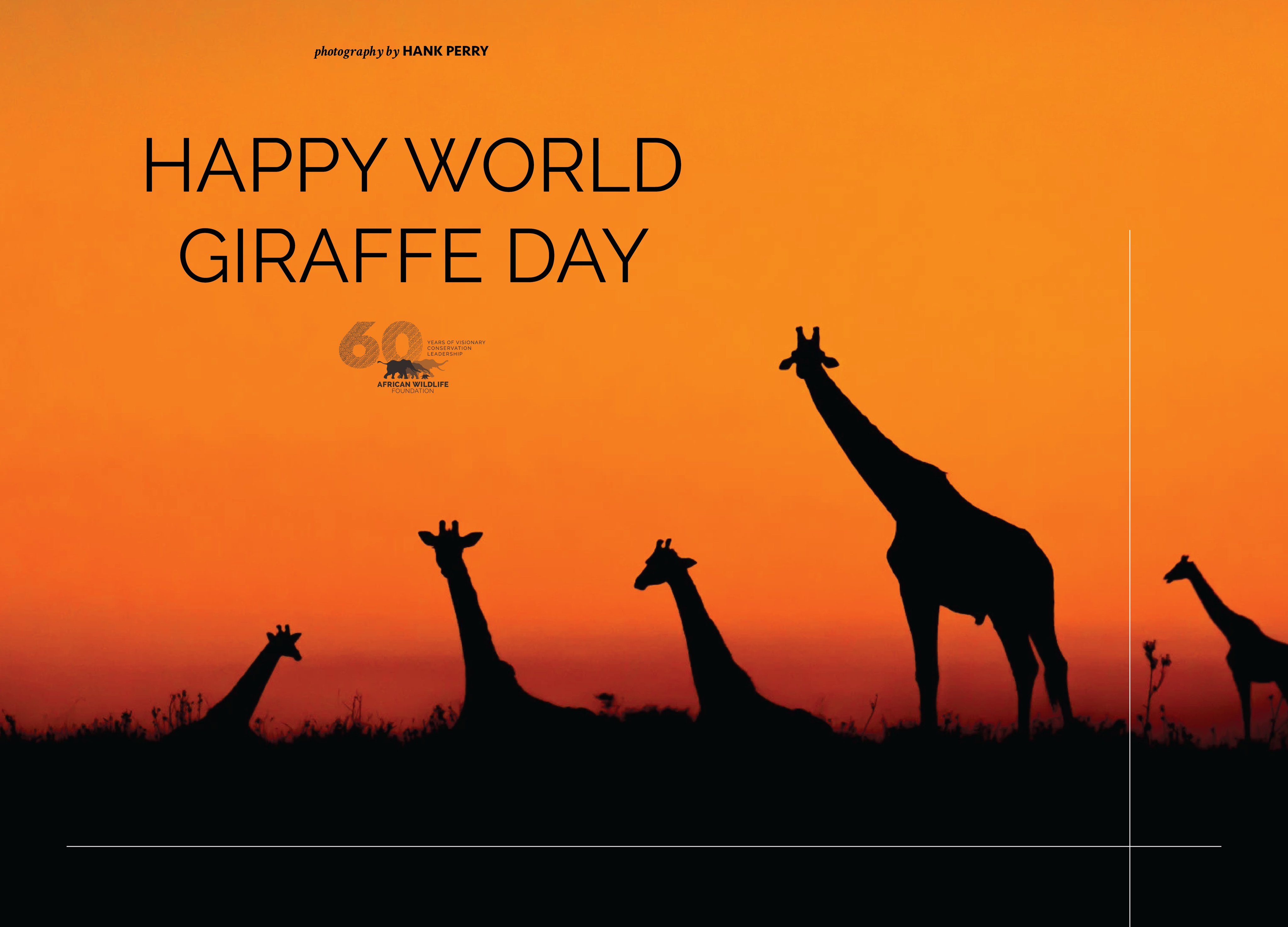 Worldgiraffeday22 Twitter Search Twitter