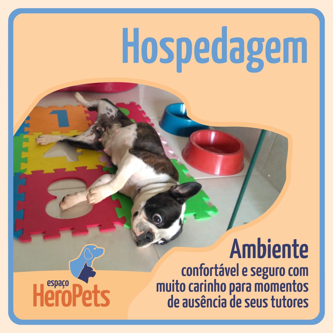 EspacoHeroPets's tweet image. No período da hospedagem, proporcionamos ao pet a companhia de nossos monitores com entretenimento e muito carinho, afim de minimizar ao máximo a ausência dos familiares. Além de oferecer um ambiente confortável e seguro para os pets.