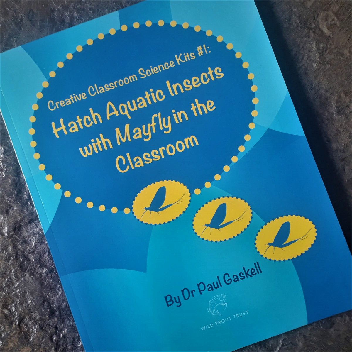 The Wild Trout Trust tweet media