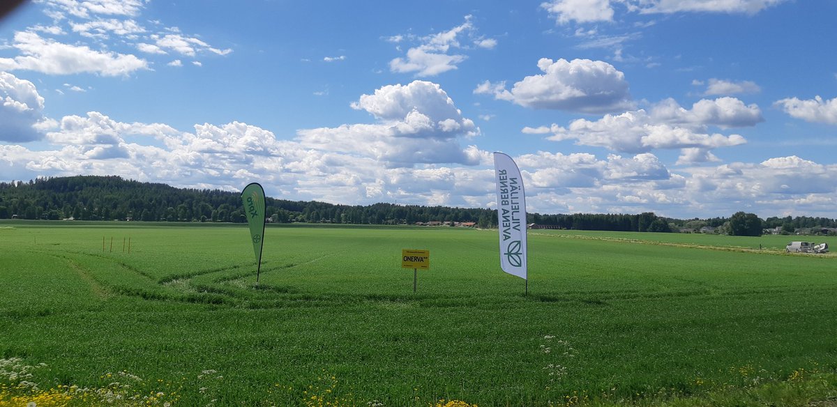 <a href="/SoilfoodOy/">Soilfood</a> töissä tänään <a href="/ViljelijanBer/">ViljelijänBerner</a> :n kanssa Pelto-Paturin peltopäivässä. Paikalla paljon aktiivisia viljelijöitä komeasta säästä huolimatta. Mukava päivä yhdessä huippuammattilaisten kanssa.