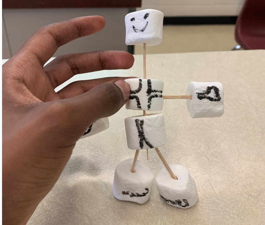 Bonhomme Chamallow in French class!!! VPCI French class making bonhommes so that they could use new words to introduce people.  #VPCIGoodNews