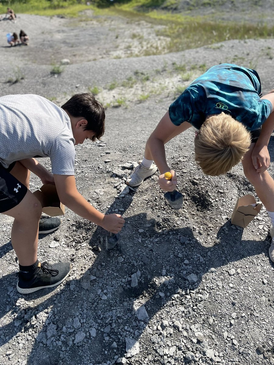 MMarcello5's tweet photo. At Penn Dixie today digging for fossils with the 6th graders! So cool! 🦴🐝 https://t.co/UQQeg0gs0c