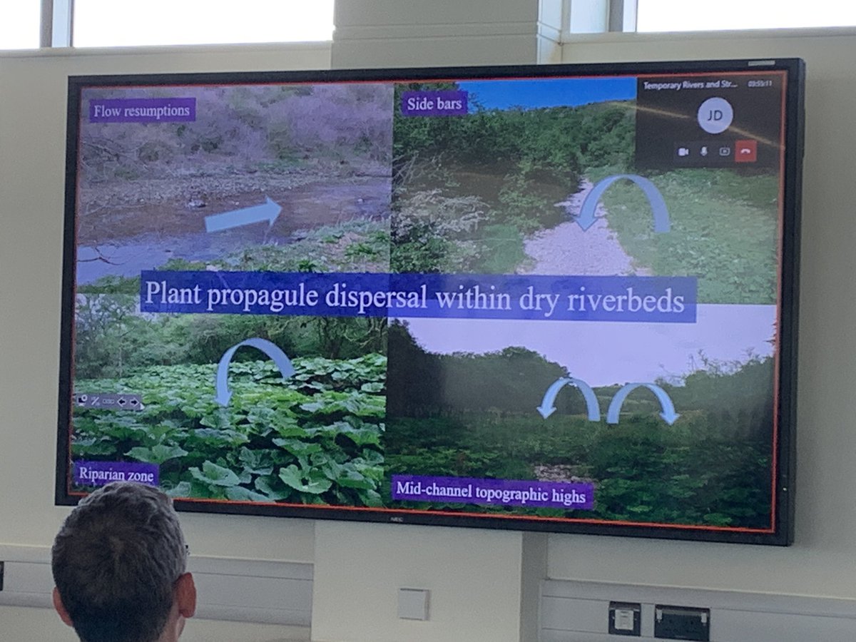 Tim Sykes @riversandpeople.bsky.social (@riversandpeople) on Twitter photo Tory Milner <a href="/MilnerTory/">Tory.Milner</a> says: Not today succa! Talking about plant colonisation in dry river channels ā something I know interests a lot of chalk stream #winterbourne owners
#TStreams_NTU
#temporarystreams #DryingRiverNetworks #IntermittentRivers Tory Milner <a href="/MilnerTory/">Tory.Milner</a> says: Not today succa! Talking about plant colonisation in dry river channels ā something I know interests a lot of chalk stream #winterbourne owners
#TStreams_NTU
#temporarystreams #DryingRiverNetworks #IntermittentRivers