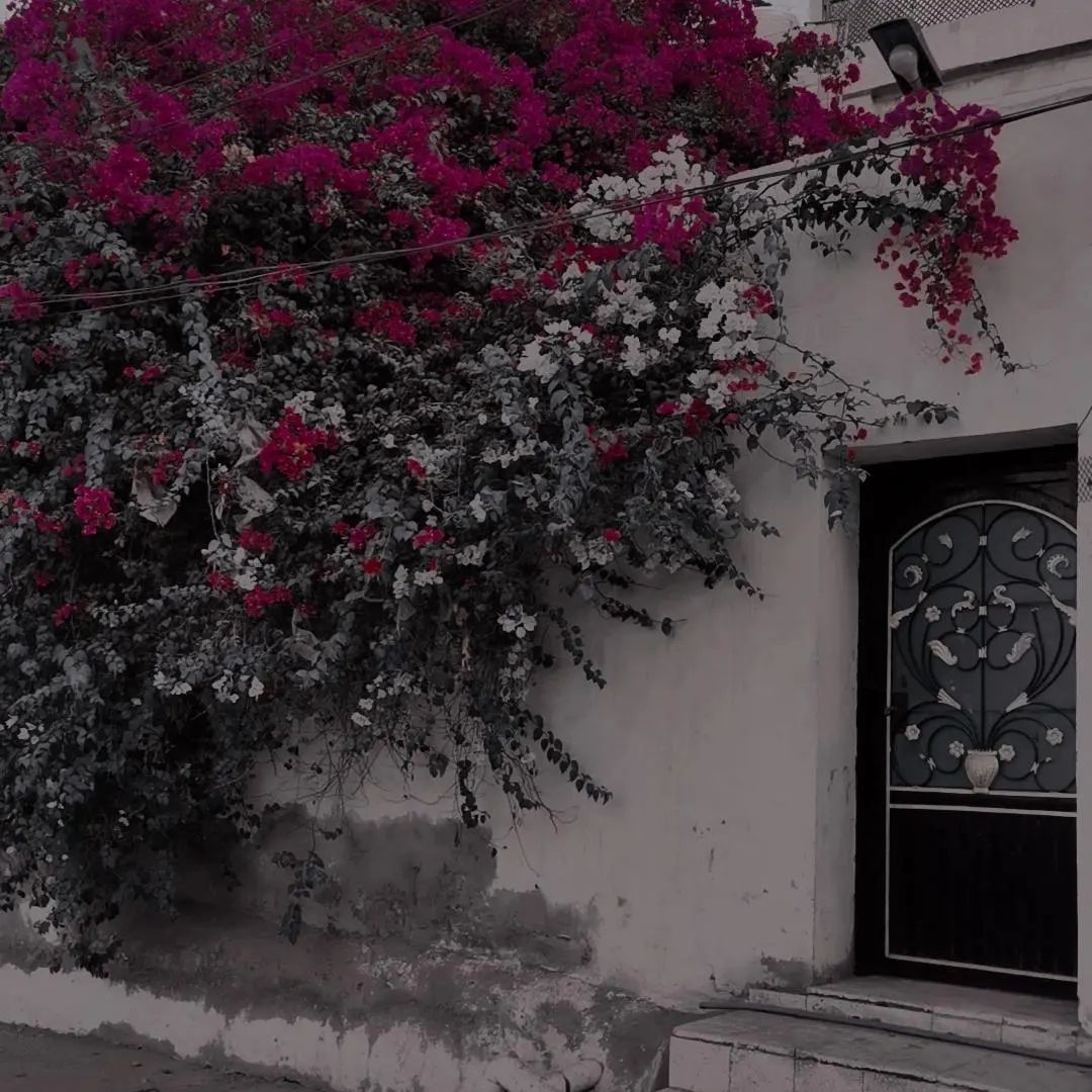 غنّيتك على لحن الصباح بصوت شجى الاحباب 
ولحنّتك على اوتار الغلا وصرت أجمل تلاحيني 

زرعت لك بستان وٰتدلى الورد على عتبه الأبواب 
وصرت أنت الغناء وشمه الورد بنشره عناويني

#عبدالله_الكثيري