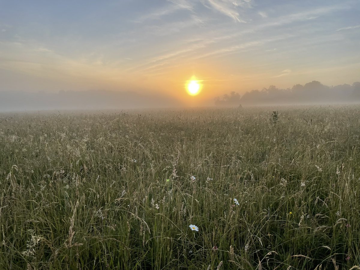 Alison Kirkbright tweet media