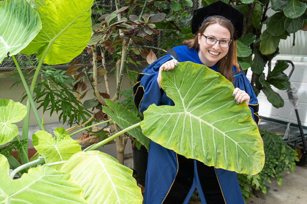 Lauren Mosesso, PhD tweet media