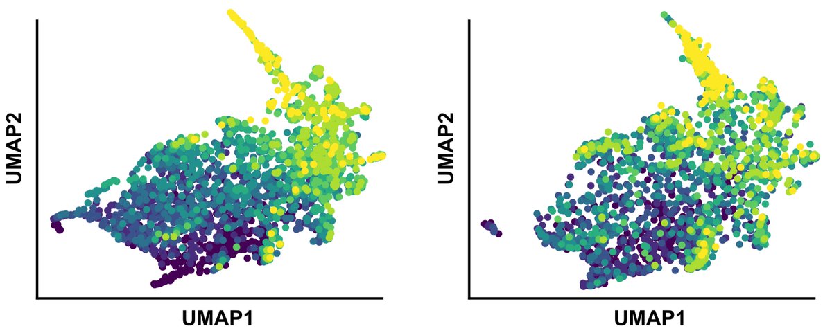 ogandril's tweet photo. Can you spot the difference? On the left is the original data, on the right the in-silico generated data using the GRN we inferred from the original data. Pretty pretty pretty cool (OK I am biased...).
https://t.co/5WRogNlgez https://t.co/b9hlrIWnmt
