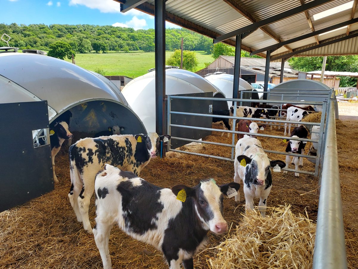 Another igloo dropped off to a customer to finish off his shed.