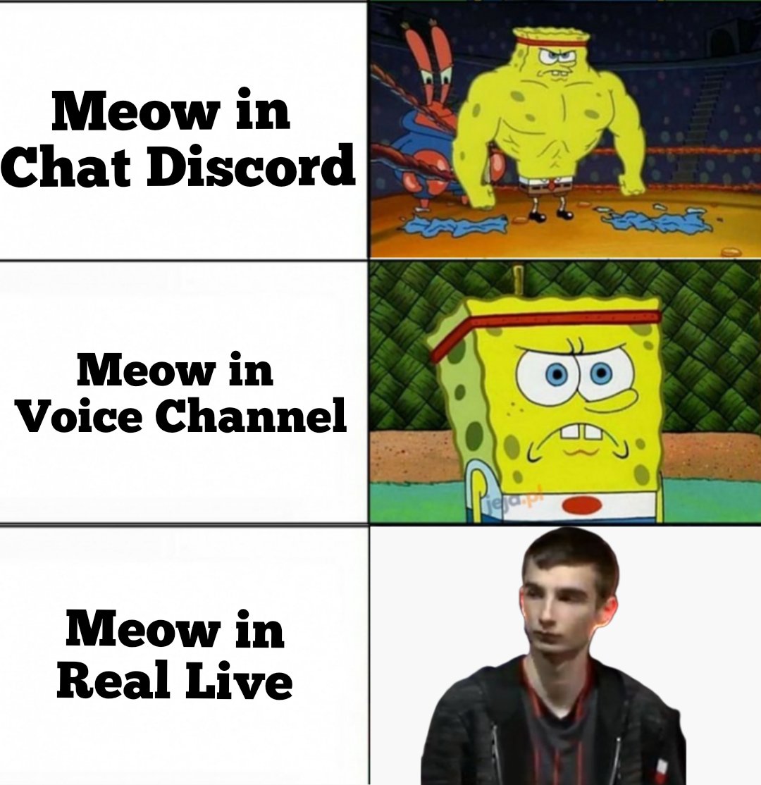 XD