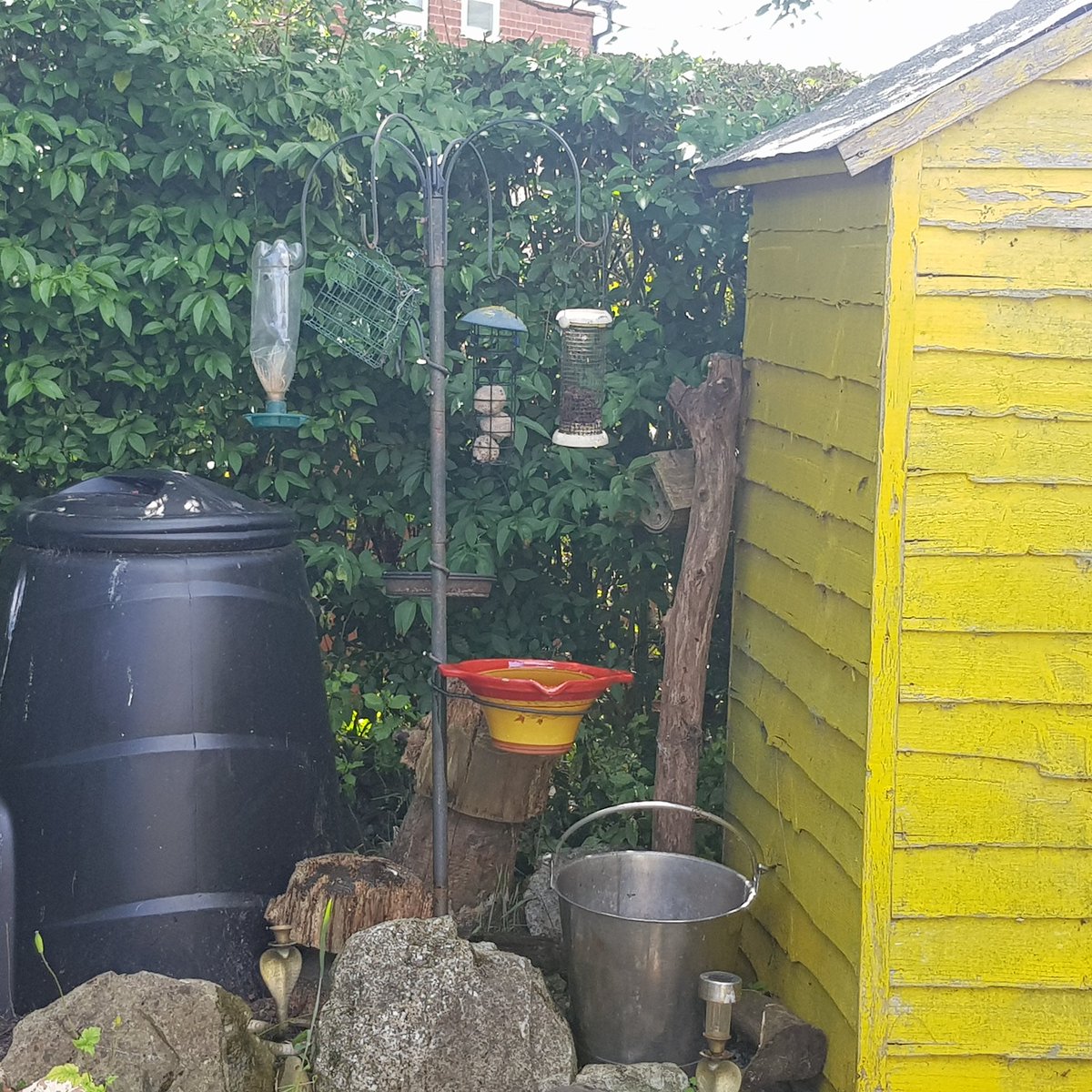 WilkinsonBytes's tweet photo. #TuesdayThoughts Respecting the #beauty of #nature and our #wildlife Living the #circulareconomy #wastenot #wantnot #Reusing #vintage #French #rustic #bowl as a #birdbath @NWalesSocial @eifion_circular @circulareconomy @reuse_network @MyMoroccanFolly @MoldReduction @MoldTown https://t.co/6YXS6XBWvj