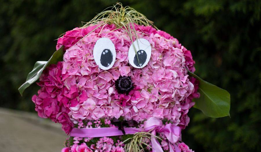 🔸 Read the latest floristry news from FLORINT, copy our URL in your browser  > mailchi.mp/florint/news-f…

With: exotic Summer floristry | ARtemis education project | Solving Clogged Pumps | ICJFD at Katowice | The Energy Outlook | EUROFLEURS 2023 Pre-registration | &amp; DMF2022