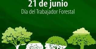 YamileRamosCord's tweet photo. Muchas felicidades para los trabajadores,  estudiantes y profesores de la carrera de Ingeniería Forestal. Sus aportes son considerables en la economía de #PinardelRío y #Cuba, con hombres como ustedes. #ResistiremosYVenceremos https://t.co/K0JKbMpYrL