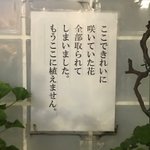 すごく悲しい気持ちになる･･･!とある花壇の張り紙が話題に