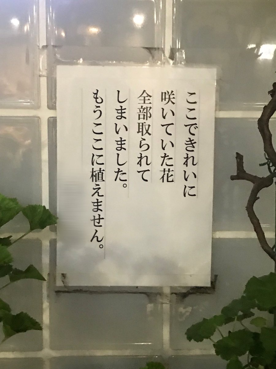 もうここに植えません 花壇の張り紙に いいね 3万件 ただただ悲しい 言葉が出ません J Cast ニュース 全文表示