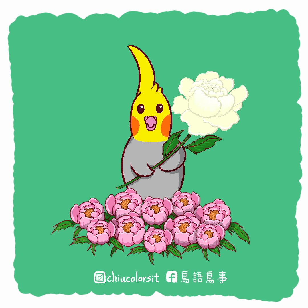 ColorsitC's tweet image. 你知道每個月有各自代表的花嗎?
而4月便是牡丹花
如果問我:為何?
好吧~我只能告訴你:
「Google大神是這樣告訴我的」🤪
總之之後會在不同月份畫下代表花😳

ps:
還想問我:
為何手上拿的是白色的?
我會告訴你:
因為一開始只想畫白色的
(一開始只想畫一朵)😗
_2022/04/11
#moutan #peony #牡丹の花