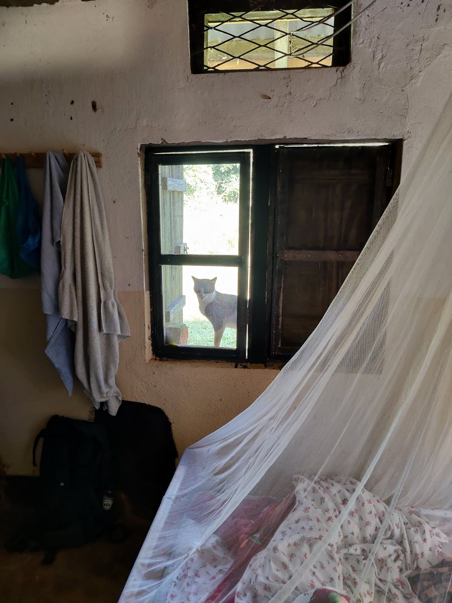 Thibaud Gruber tweet media