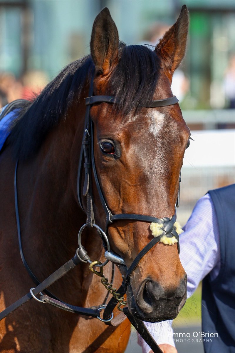 Emma O’Brien tweet media