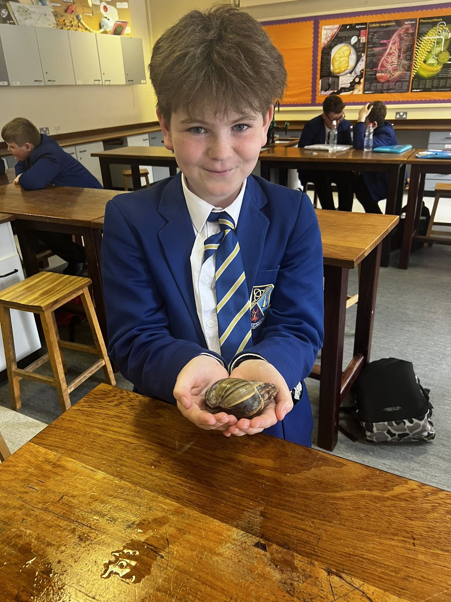 MissLockhart312's tweet photo. Some fun today for 8NN. They made friends with Flash the Giant African Land Snail and met some stick insects https://t.co/bnRHceK4EN