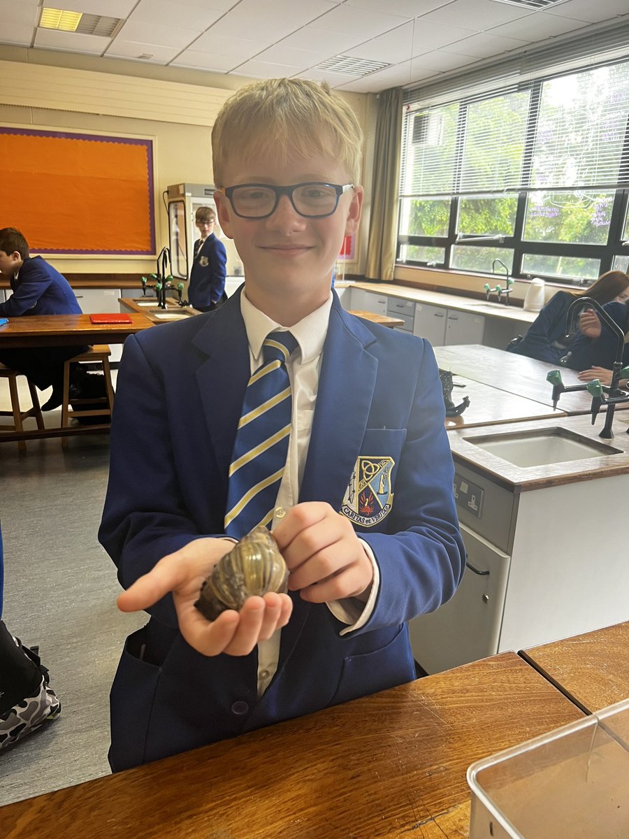 MissLockhart312's tweet photo. Some fun today for 8NN. They made friends with Flash the Giant African Land Snail and met some stick insects https://t.co/bnRHceK4EN