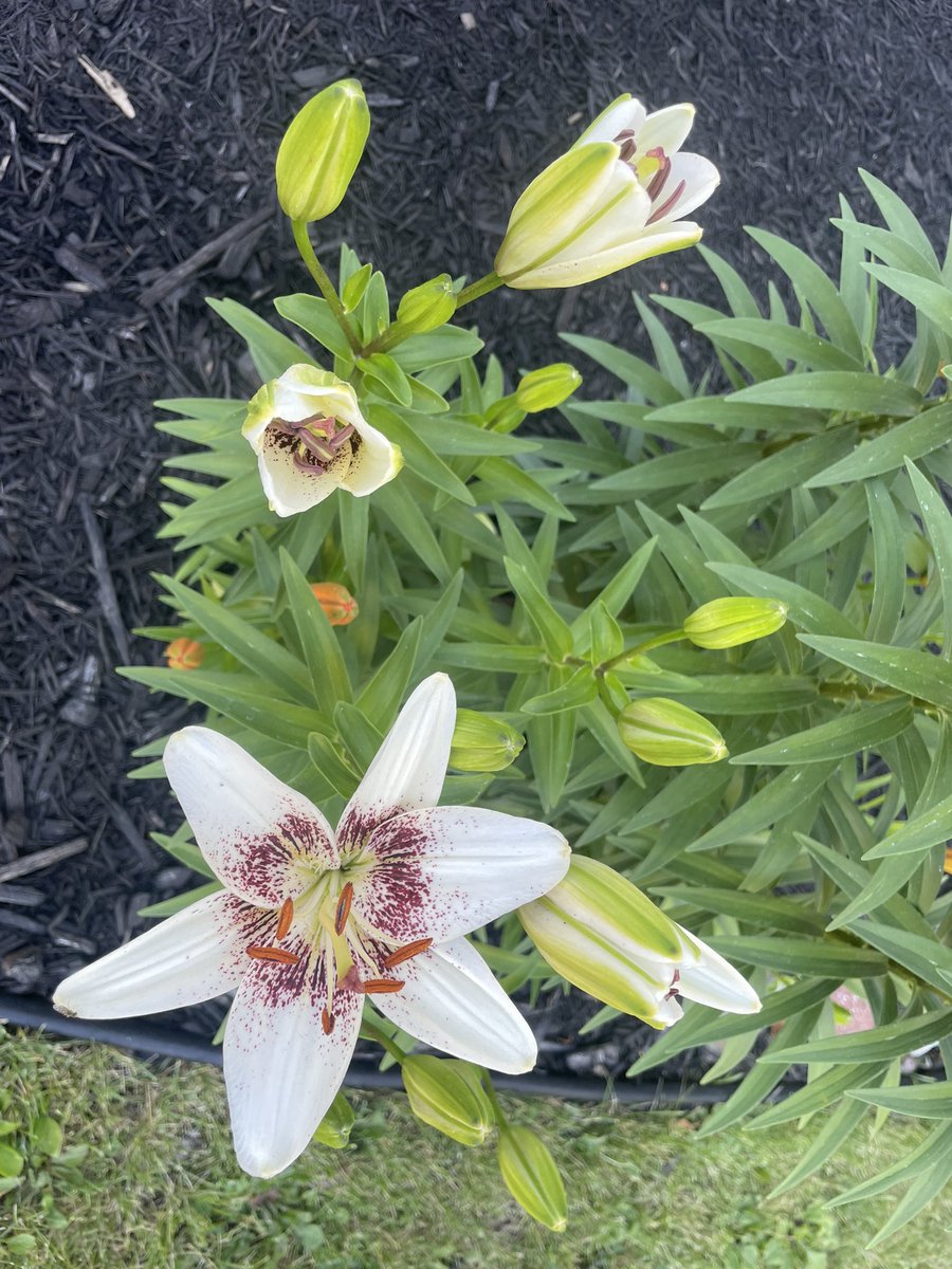 timefortravell1's tweet image. Current Situation #gettingreadyforwork