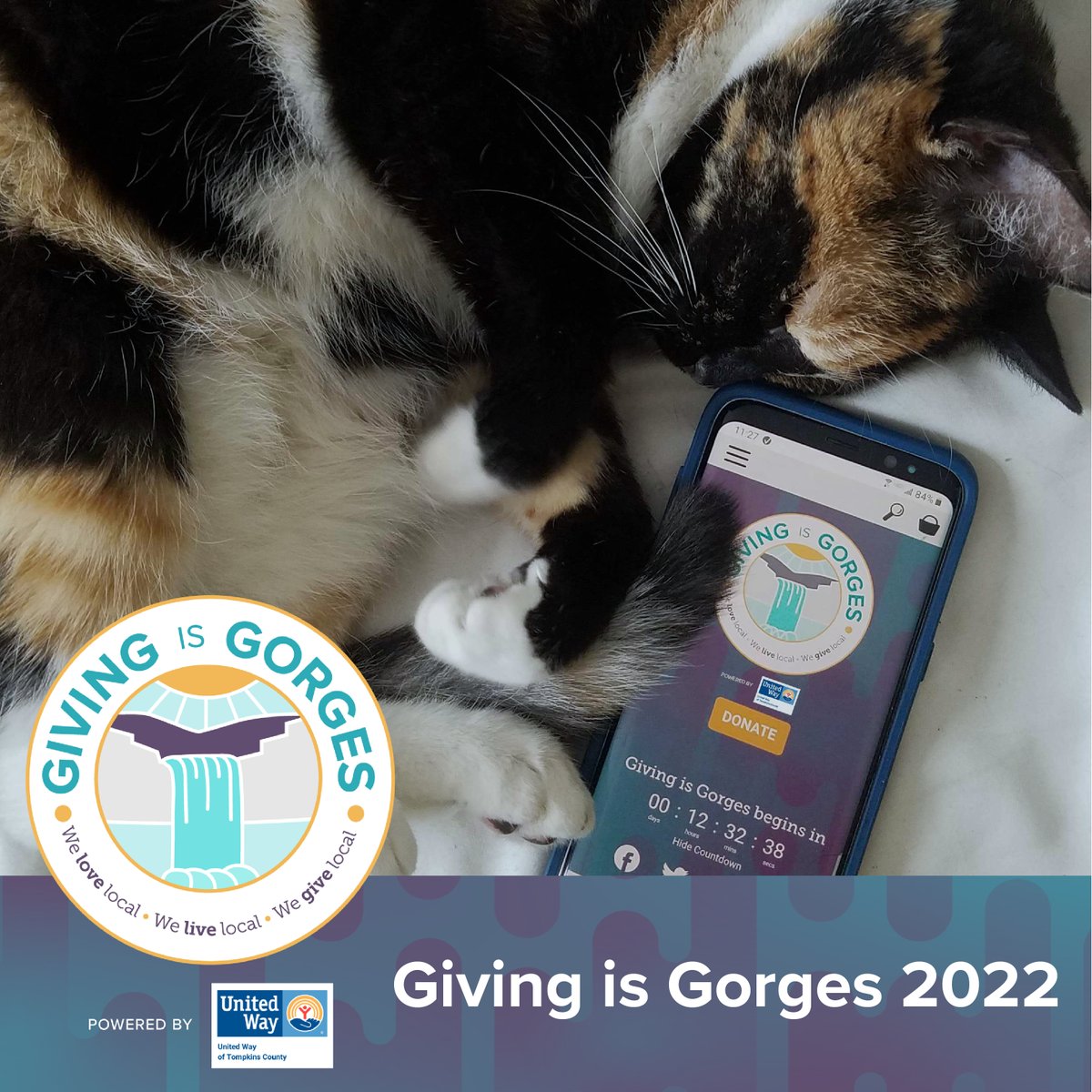 GivingIsGorges's tweet photo. The day we’ve been waiting for has finally arrived! 🎉 #GivingisGorges has officially kicked off!! Donate now to your favorite local nonprofits to show your support! 😻💜 https://t.co/MUxV6ZWbU4 https://t.co/fGoEZUXhYE