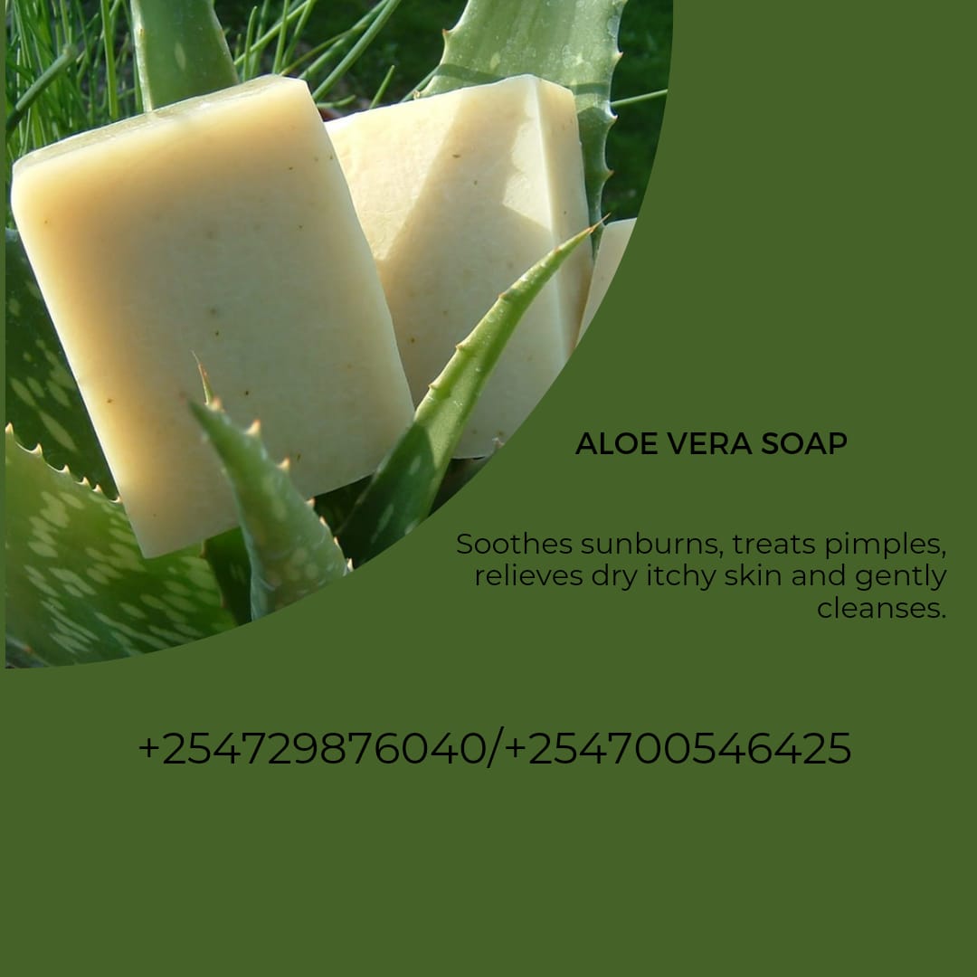 100% handmade aloe vera soap.

Packed in 100g

Wholesale @230
Retail @230

Wholesale starts from 12pcs

0729876040/0700546425
#aloeverasoap 
#skincareproducts 
#handmadesoaps