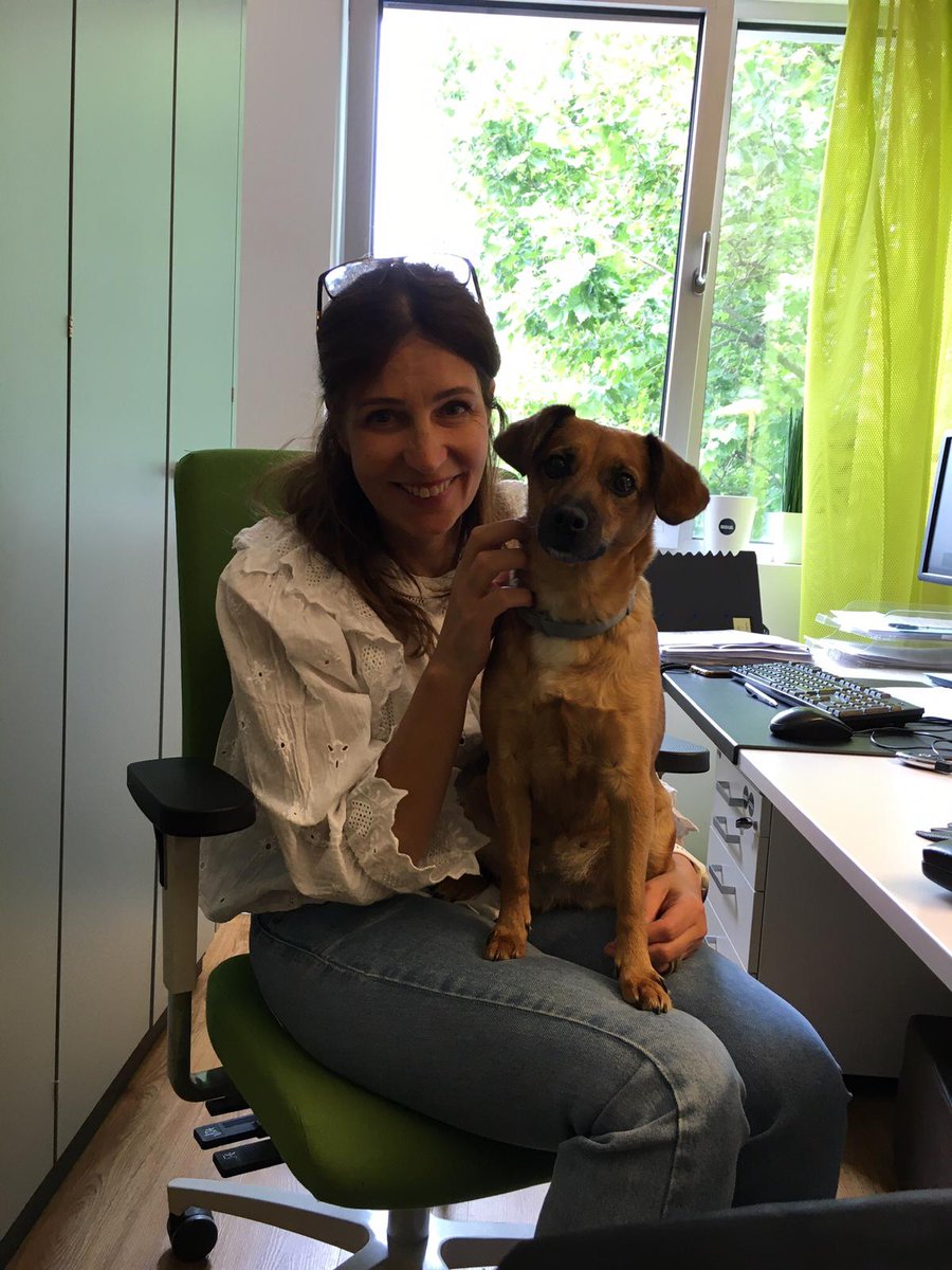 🐕🐩🐕‍🦺🦮🐕‍🦺🐩🐕

Ob bei uns im Office Hunde erlaubt sind? Wir verstehen die Frage nicht! Denn unsere Policy lautet: Je mehr Vierbeiner, desto besser.

Deshalb darf Ida natürlich an den gemeinsamen Officetagen nicht fehlen!

#boldlygo #frankfurt #rheinmain #boldlydogs
