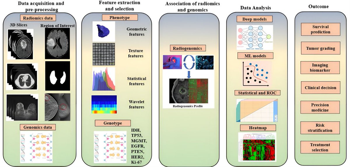 Cancers_MDPI's tweet image. 🧐Check out an #Article by @SanjayS84390716 et al. that offers computational &amp;amp; oncological prospects, achievements and limitations of AI for #radiogenomics study of #cancer in current clinical practices✨@IIIT_Bh

Access the paper here👉mdpi.com/2072-6694/14/1…