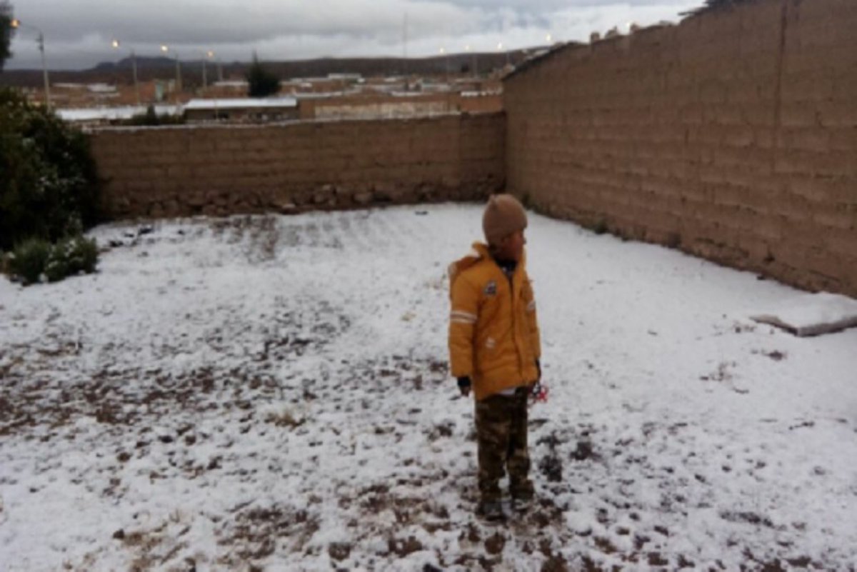 Agencia_Andina's tweet image. ❄🌡 Entre  julio y setiembre, se esperan temperaturas mínimas por debajo de lo normal con valores extremos de hasta 20 grados bajo cero en la sierra sur. bit.ly/3zU0XCM 

Esto afectarían las zonas de Tacna, Moquegua, Arequipa y parte de Puno, advierte el @Senamhiperu.