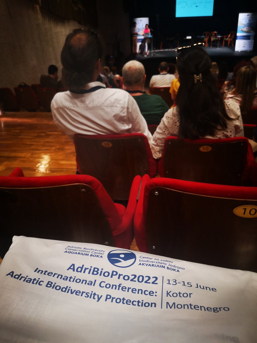 st_jelena92's tweet photo. It's been a pleasure to participate in the #adribiopro2022 conference, held from 13.-15. June in Kotor (MNE). The conference included different topics and social events! Overall, a great experience.

#conference #science #microplastics #danube #ICPDR #JDS4 #kotor #montenegro https://t.co/o1O3Wnoqou