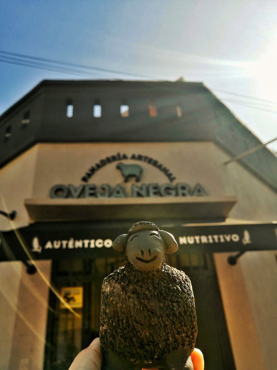 OvejaNegraPy's tweet image. Buen día!