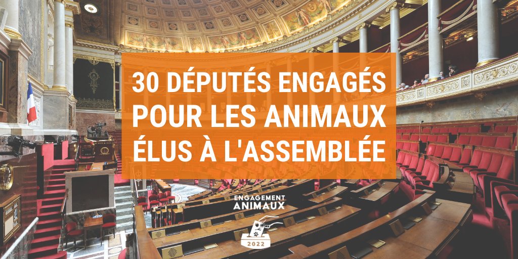 🏛️ 30 députés engagés pour les animaux ont été élus à l'Assemblée nationale ! 
📣 Notre mission d'engagement des candidats est terminée. Place à l'action politique ! 
Nos 30 ONG veilleront à l'application de ces engagements reçus. #Animaux2022