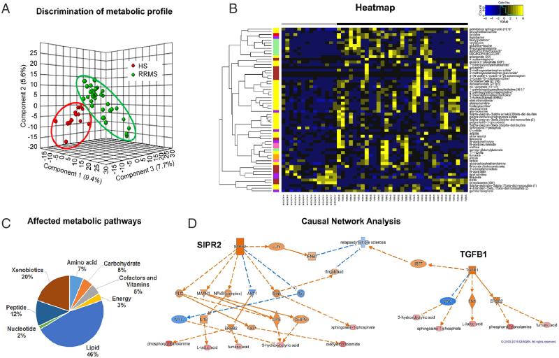 SapientBio's tweet photo. A study recently published by PNAS used blood-based untargeted #metabolomics to identify four perturbed metabolic pathways in patients with relapsing-remitting #multiplesclerosis &amp; revealed a testable therapeutic target for developing potential therapy: https://t.co/w8jQ6qTWn8 https://t.co/oGqHuiKuhd