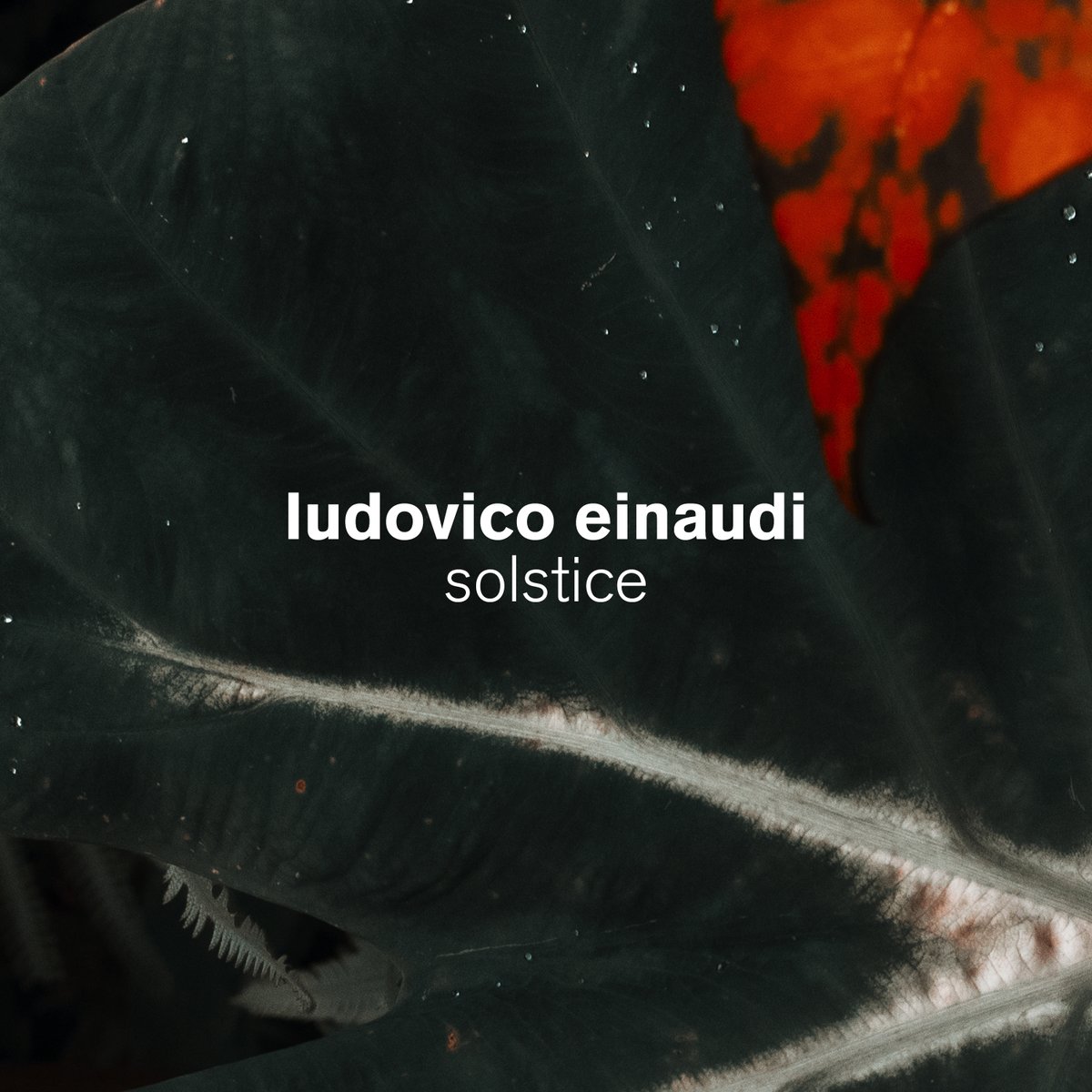 For the longest day of sun: ‘Solstice’, a hand-picked collection of some tracks for the summertime, is out now. Listen to it at Einaudi.lnk.to/solsticeSo Cover by Jack Davison #solstice #ludovicoeinaudi