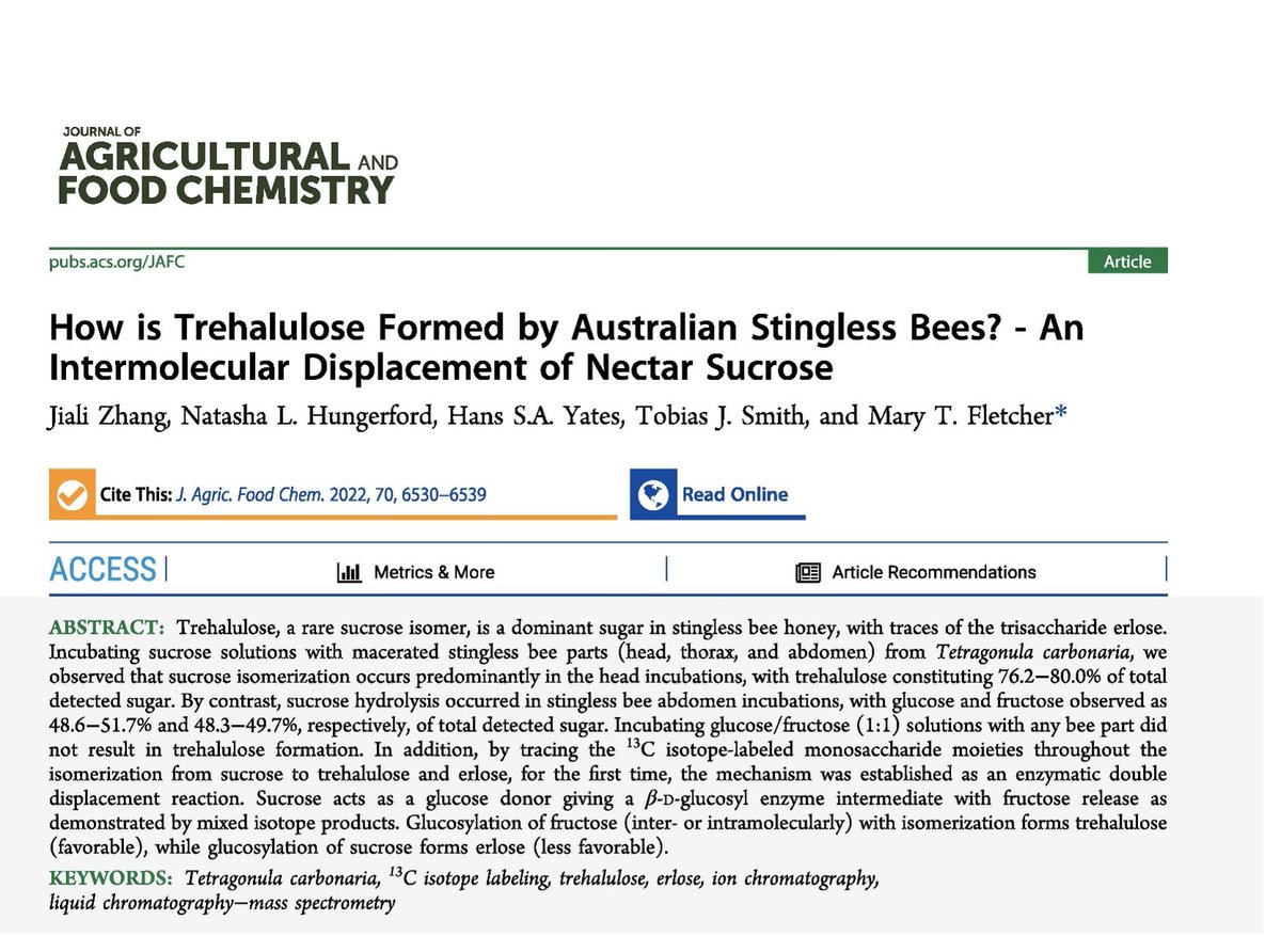 Mary Fletcher (@maryfletcheruq) on Twitter photo Great publication by our <a href="/QAAFI/">QLD Alliance for Agriculture & Food Innovation</a> PhD student Jiali Zhang. pubs.acs.org/doi/10.1021/ac… Australian stingless bees are so remarkable in their ability to isomerise nectar sucrose to the low GI disaccharide trehalulose. <a href="/TashHungerford/">Natasha Hungerford</a> <a href="/EcologyToby/">Dr Tobias Smith</a> <a href="/AustralianBee/">Australian Native Bee Association</a> Great publication by our <a href="/QAAFI/">QLD Alliance for Agriculture & Food Innovation</a> PhD student Jiali Zhang. pubs.acs.org/doi/10.1021/ac… Australian stingless bees are so remarkable in their ability to isomerise nectar sucrose to the low GI disaccharide trehalulose. <a href="/TashHungerford/">Natasha Hungerford</a> <a href="/EcologyToby/">Dr Tobias Smith</a> <a href="/AustralianBee/">Australian Native Bee Association</a>