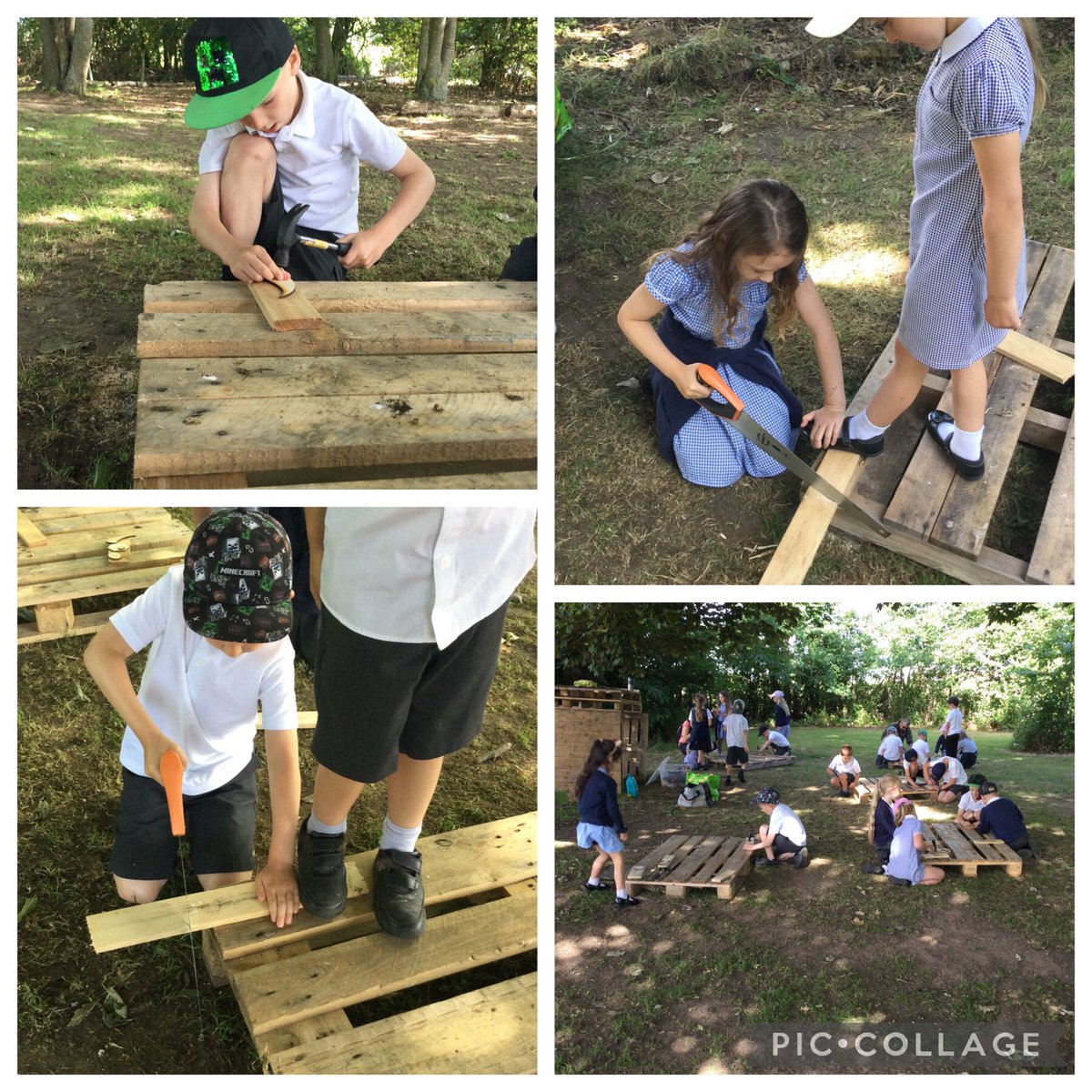 Shotley Zebras tweet media