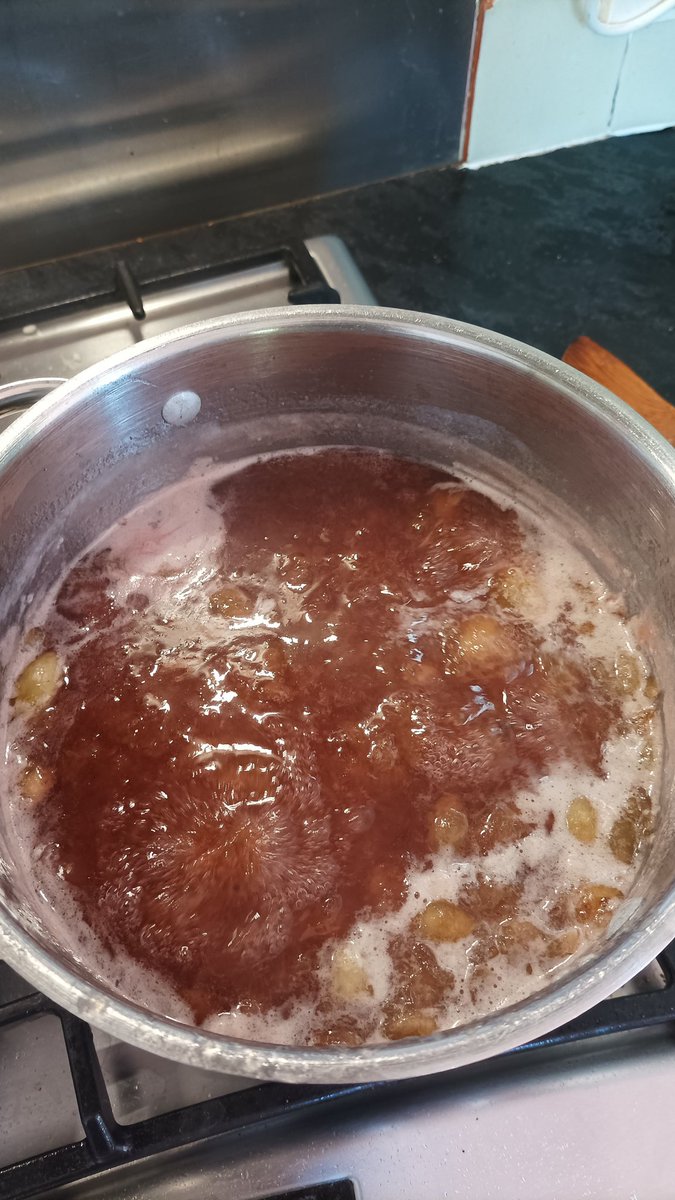 metalman_tim's tweet photo. @Bibliocook @HanleysPuddings @CashelBlue Wow, great sounding combo! Gooseberry jam on the boil today and a jar with your names on it, if you're around when I'm passing in a couple of weekends time 😀 https://t.co/mvAA3e4c2i