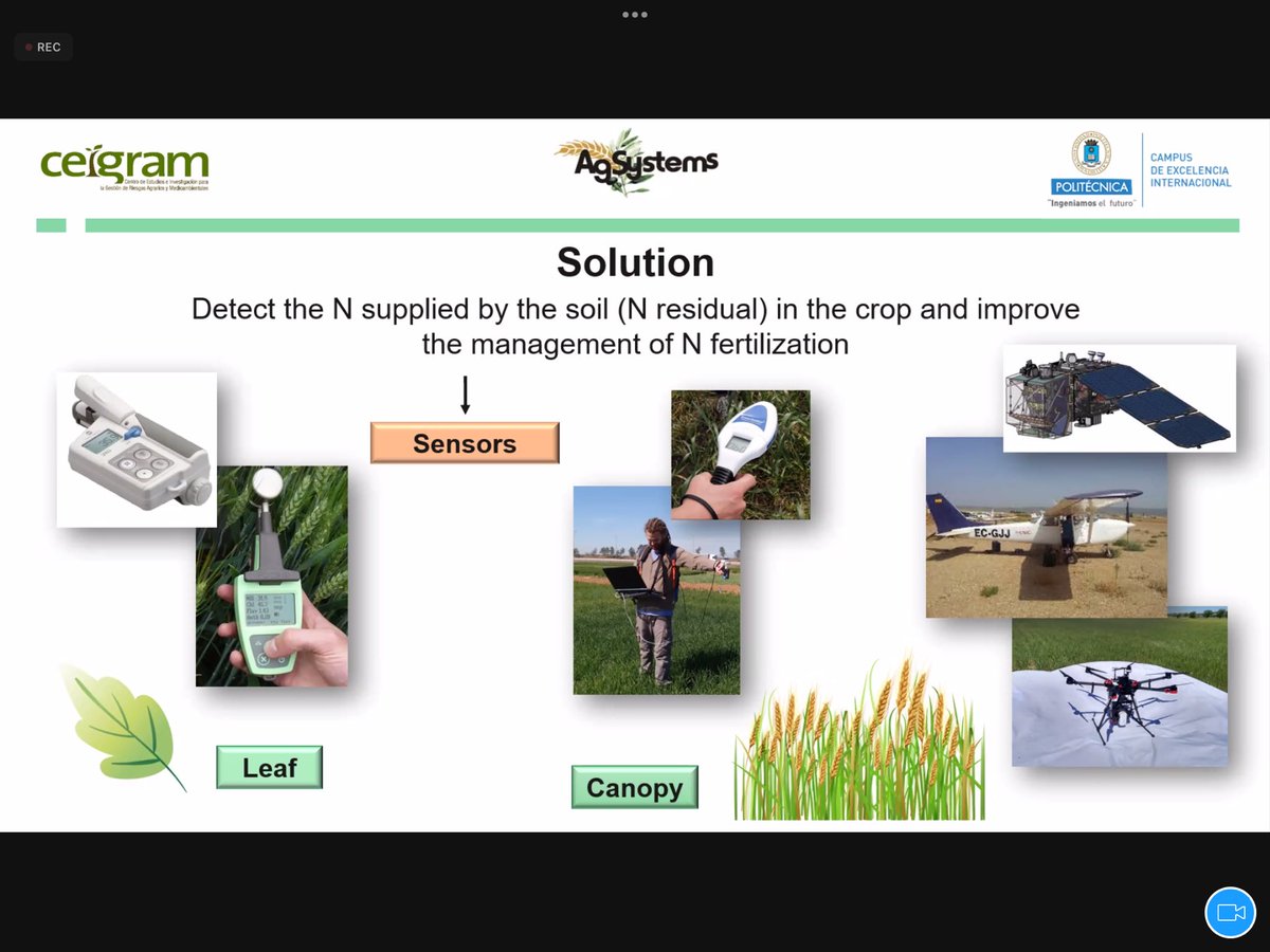Agriculture@Newcastle tweet media