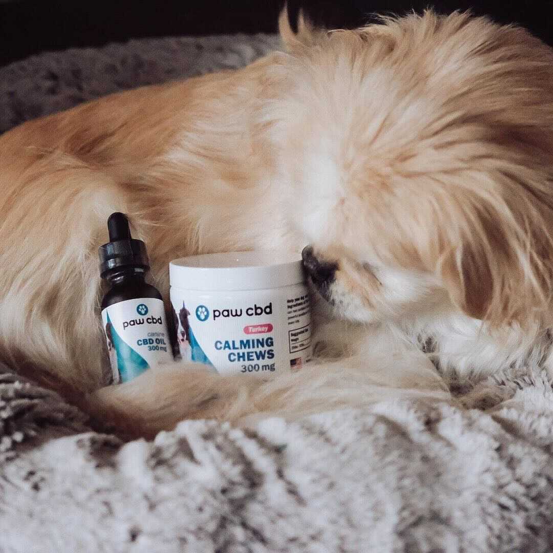 Paw CBD tweet media