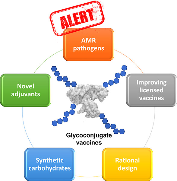 Bioconjugate Chem (@bioconjchem) on Twitter photo .<a href="/linda_delbino/">Linda Del Bino</a> et al. #review glycoconjugate vaccines as a way to combat #antimicrobial #resistance, including structure–immunogenicity relationships & gaps for further research.
pubs.acs.org/doi/10.1021/ac…
<a href="/ACSChemRev/">Chemical Reviews</a>
<a href="/RobertoAdamo10/">Roberto Adamo</a>
<a href="/GSK/">GSK</a>
<a href="/UniLeidenNews/">Leiden University</a>
#glycotime .<a href="/linda_delbino/">Linda Del Bino</a> et al. #review glycoconjugate vaccines as a way to combat #antimicrobial #resistance, including structure–immunogenicity relationships & gaps for further research.
pubs.acs.org/doi/10.1021/ac…
<a href="/ACSChemRev/">Chemical Reviews</a>
<a href="/RobertoAdamo10/">Roberto Adamo</a>
<a href="/GSK/">GSK</a>
<a href="/UniLeidenNews/">Leiden University</a>
#glycotime