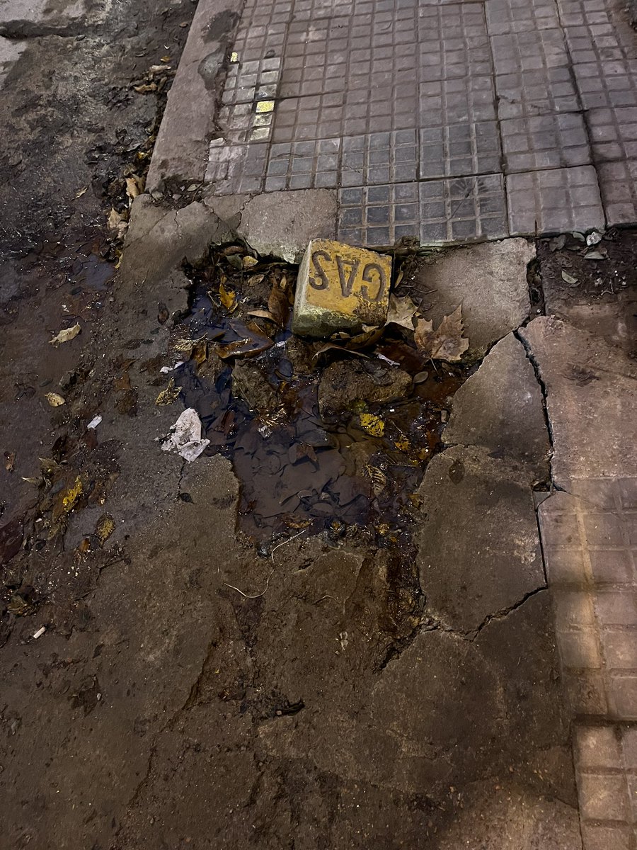 Pablo Marton tweet media