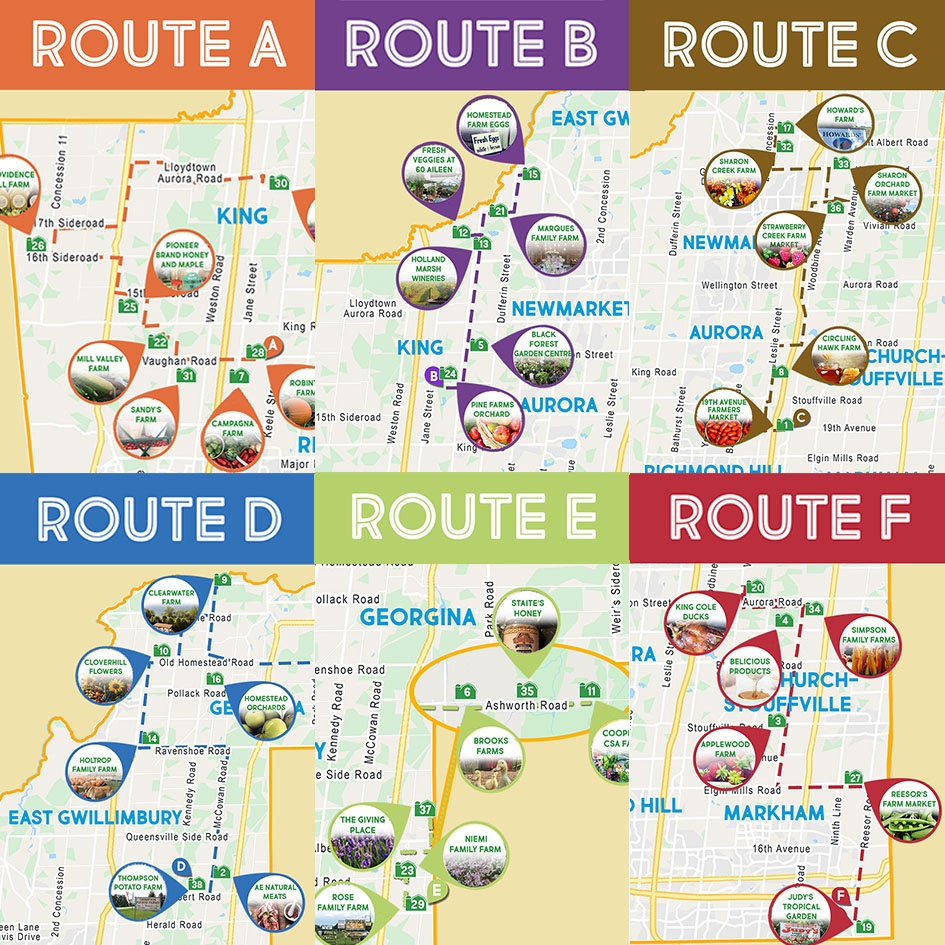 YorkFarmFresh's tweet image. Happy Summer Solstice! The time of abundance has arrived.

Our 6 'Passport to Fresh' routes are a guide to Experience the Freshness York Region has to Offer.  Consult our Guide Map, website or mobile app for more details. 

#thankafarmer #summertime #loveyrfood