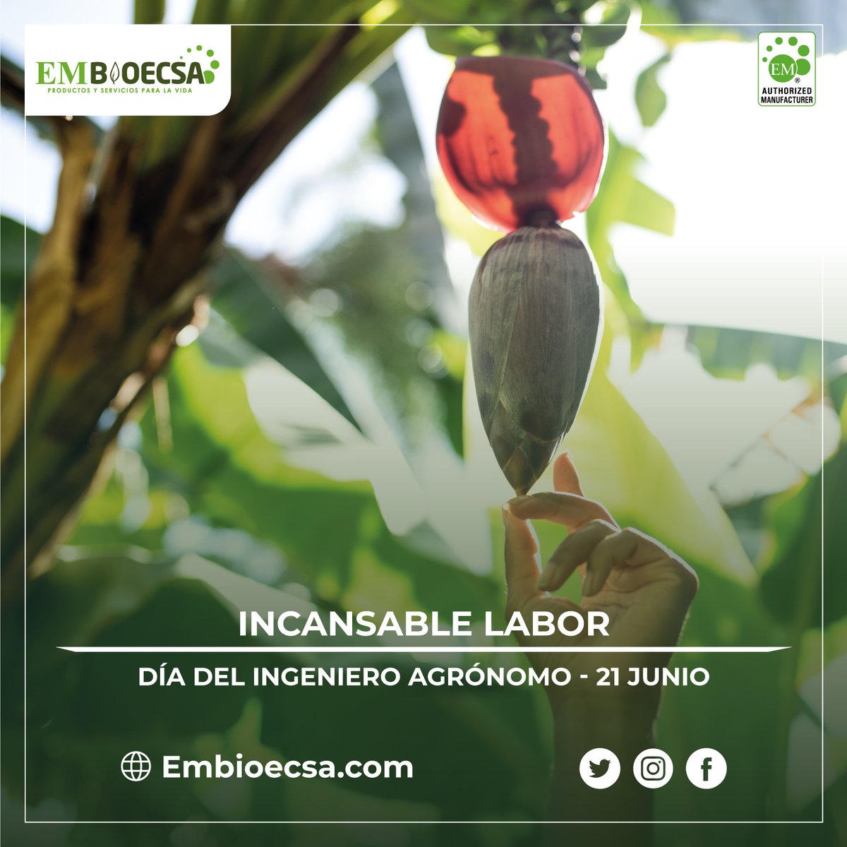 embioecsa's tweet photo. ¡Feliz día del Ingeniero Agrónomo! 🌱🧑‍🌾👩‍🌾
Agradecemos el compromiso y el esfuerzo diario para alimentar al mundo cuidando el ambiente. 💚

#DiaDelIngenieroAgronomo #agronomosecuador #agricultorecuatoriano #agriculturaecuador https://t.co/GYzPdZrqAI