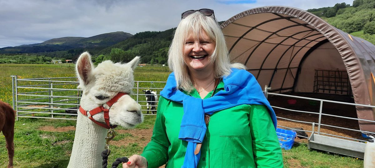 EstherdQi's tweet photo. #staffwellbeing #amazingteam @NHSHighland @JadeGunn88 @LauraKeel1 #poweroftheoutdoors such an amazing day walking alpacas and being inspired by my amazing team to develop our QI ideas. https://t.co/1qyLBGqI1X