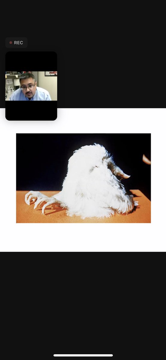 Sarah Mahonski, MD tweet media