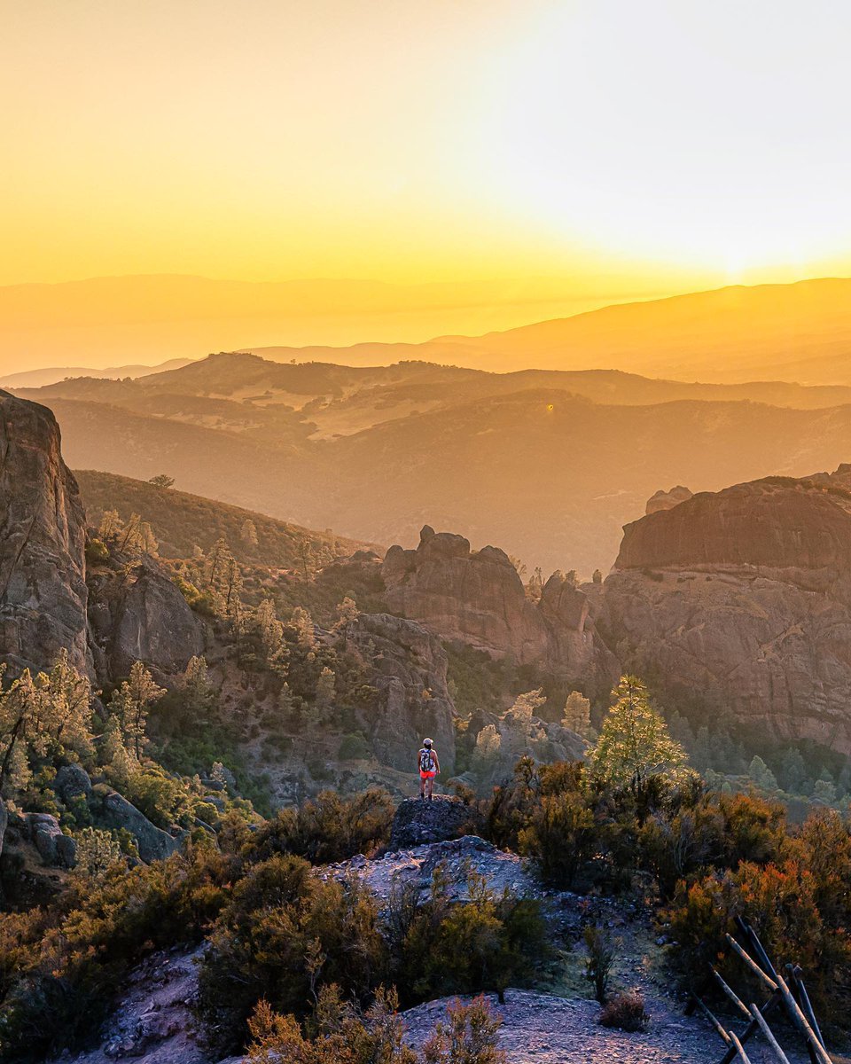 See Monterey tweet media