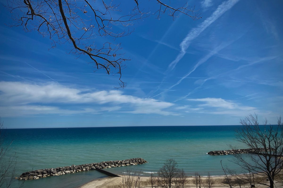 Happy first day of summer, Foresters! 🏖️