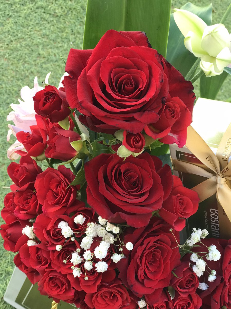 بلكِي شِي نهار يجي حدا
يزرع جوّآت ألبك جنايّن ورد♥️
#اقتباسات_سنابيه