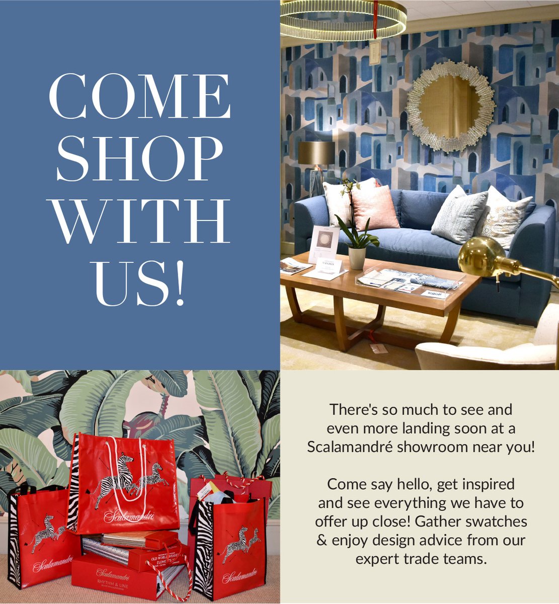 thescalamandre tweet media