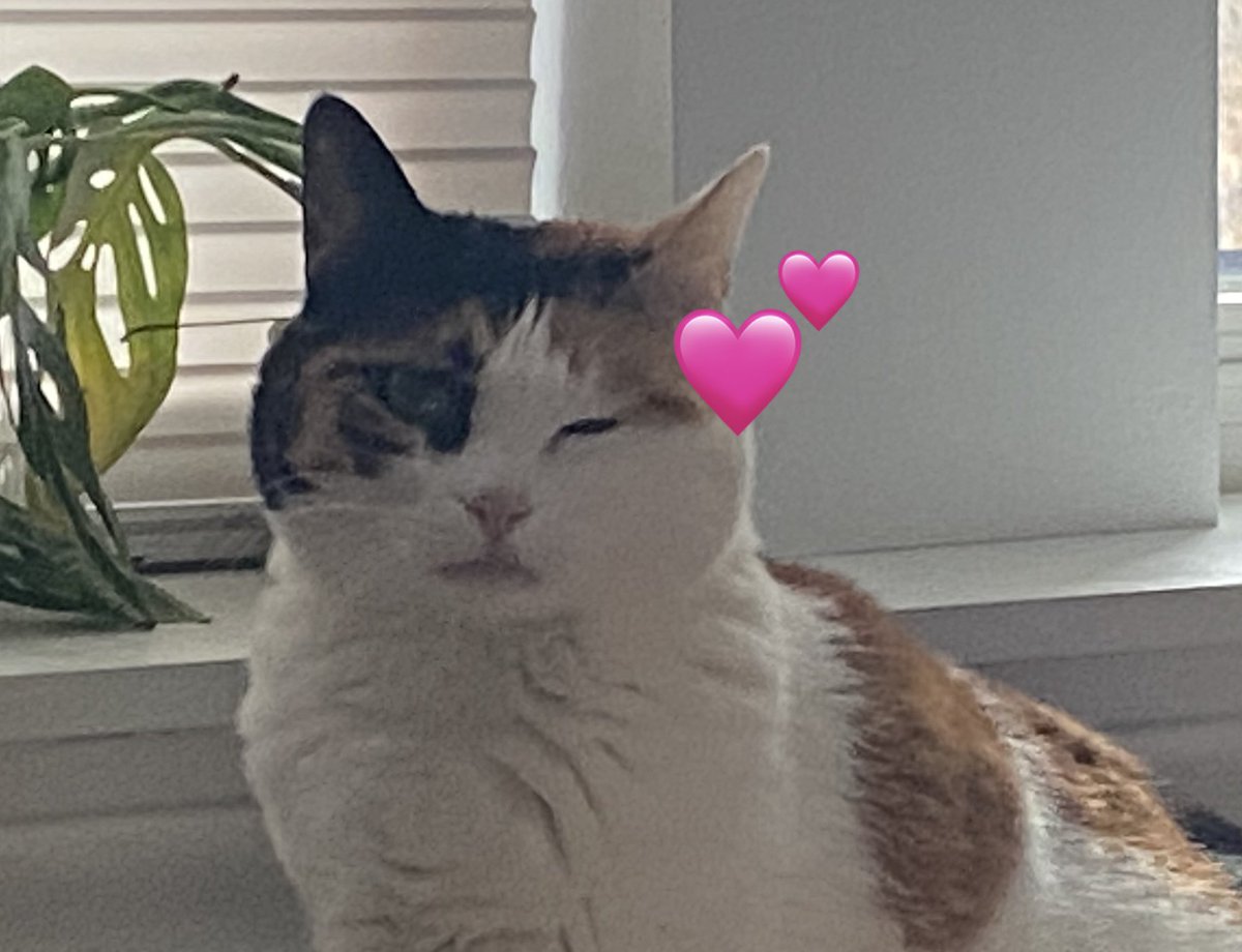 🥰🥰🥰GM #NFTCommumity #nftart